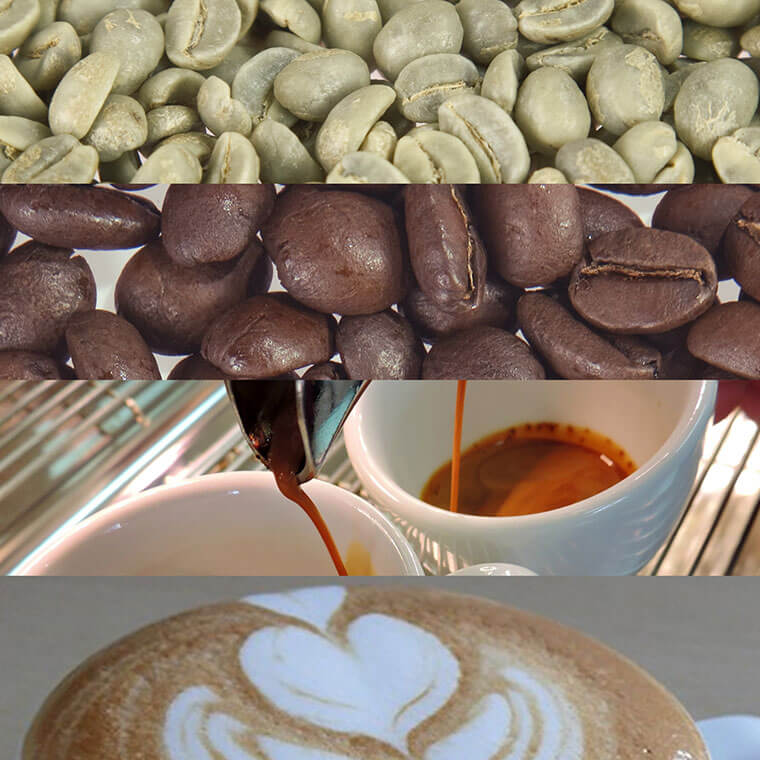 freshly roasted coffee